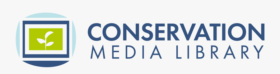 Graphics, Transparent Clipart