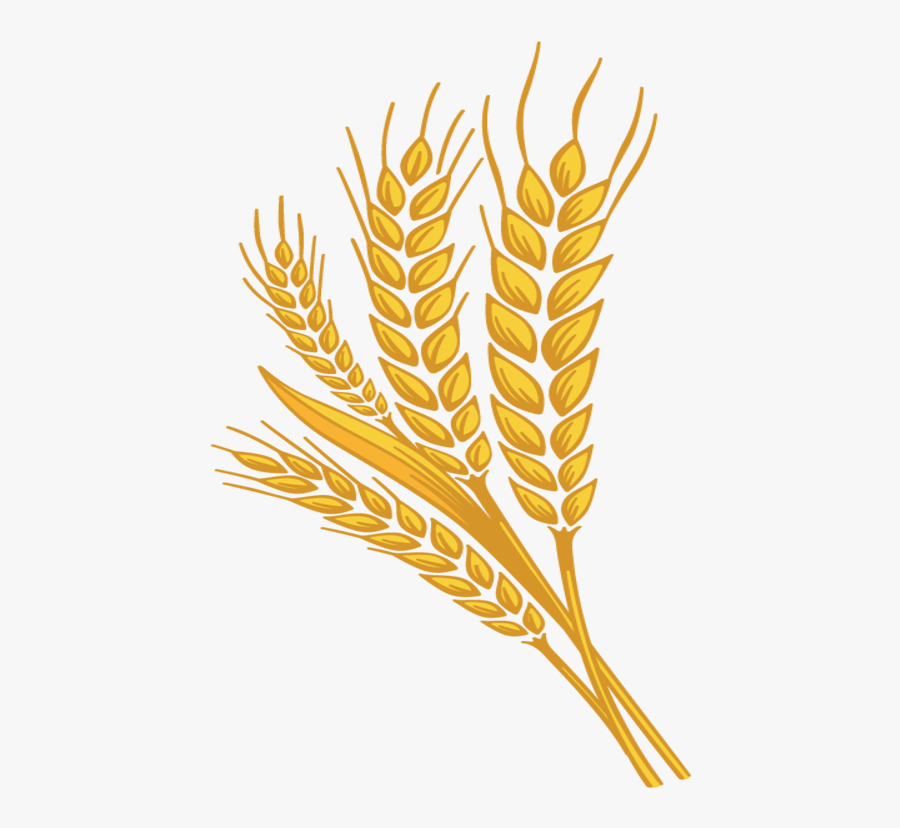 Good For Digestion - Illustration, Transparent Clipart