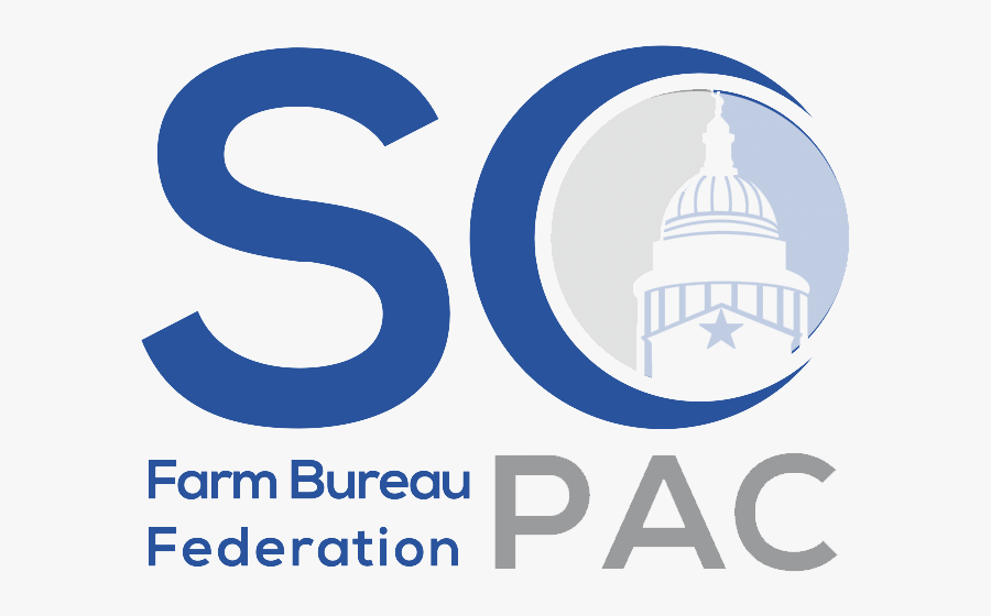 Federal Pac Logo - Graphic Design, Transparent Clipart