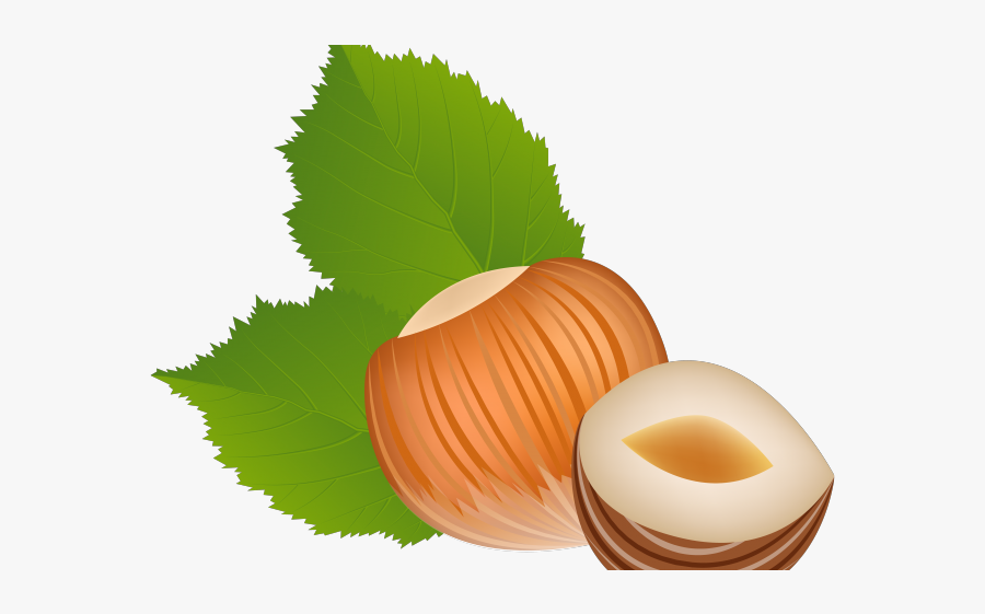 Hazelnut Clipart Png, Transparent Clipart
