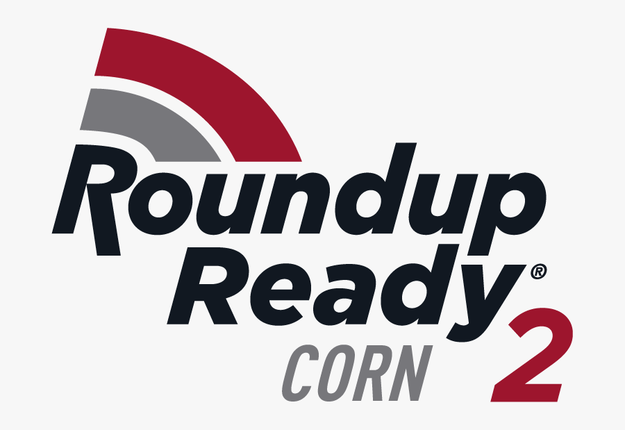 Transparent Roundup Clipart - Roundup Ready Corn 2, Transparent Clipart