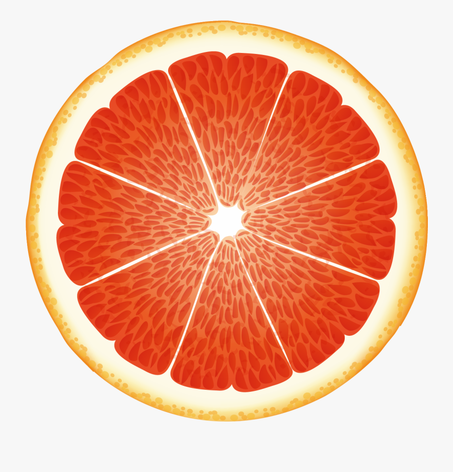 Clip Art Cartoon Grapefruit - 蜜 柚 卡通, Transparent Clipart