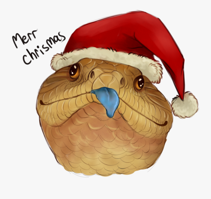 Chrismas Beak Owl - Blue Tongue Skink Drawing, Transparent Clipart