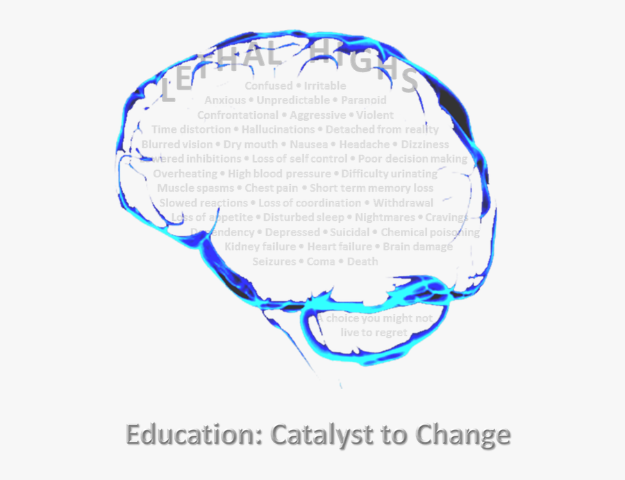 Diagram, Transparent Clipart