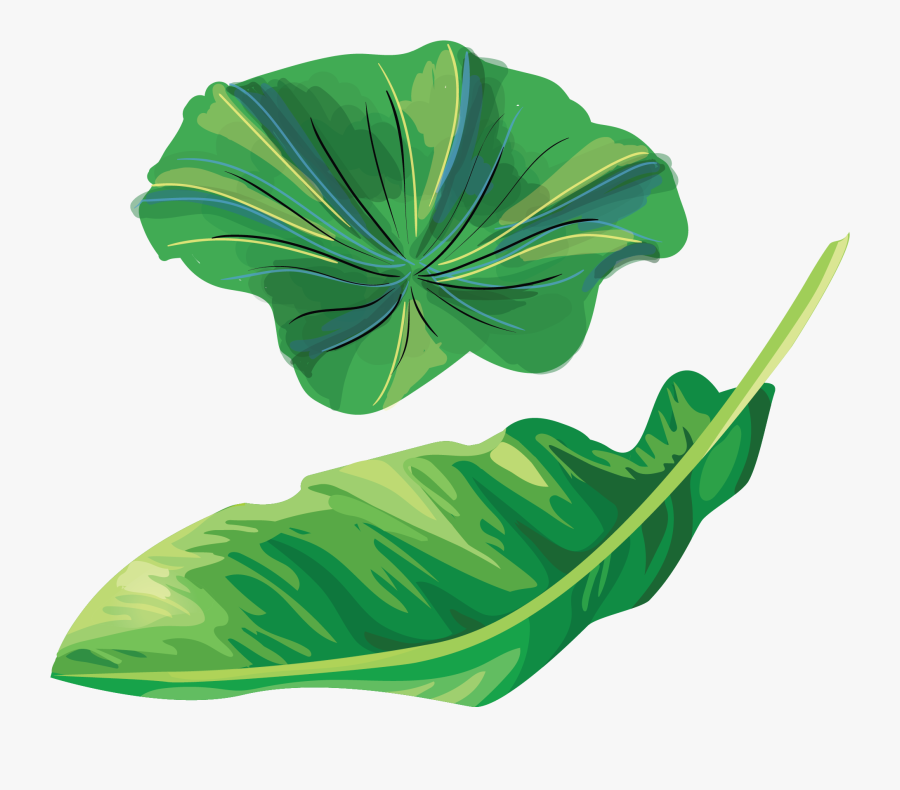 Banana Leaf Illustration Clipart , Png Download - Banana Leaf Vector Png, Transparent Clipart