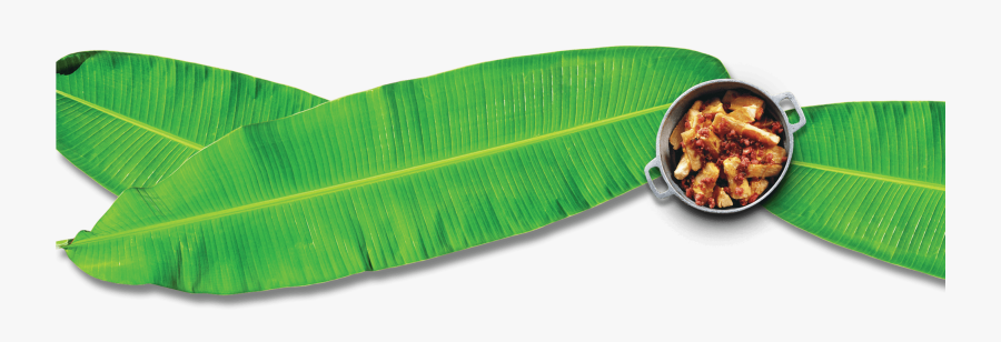 Banana Leaf Png, Transparent Png - Banana Leaf Png, Transparent Clipart