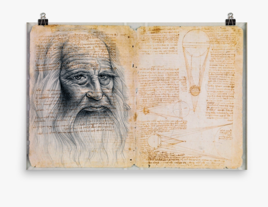 Image Of Leonardo Da Vinci - Visual Arts, Transparent Clipart