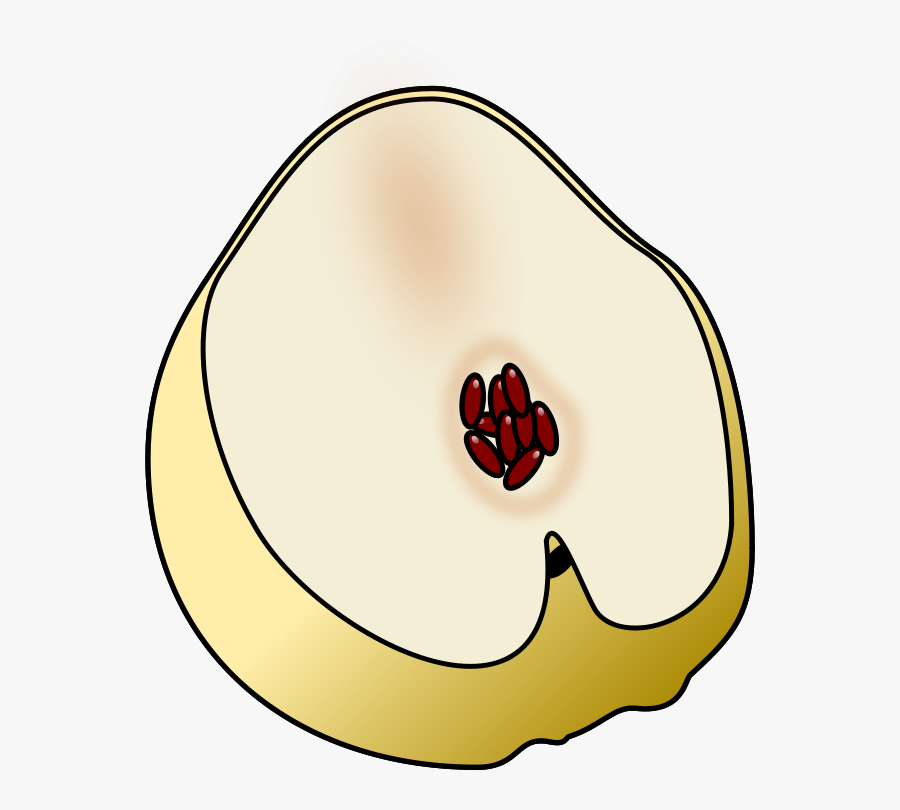 Membrillo - Logo Png Membrillo, Transparent Clipart