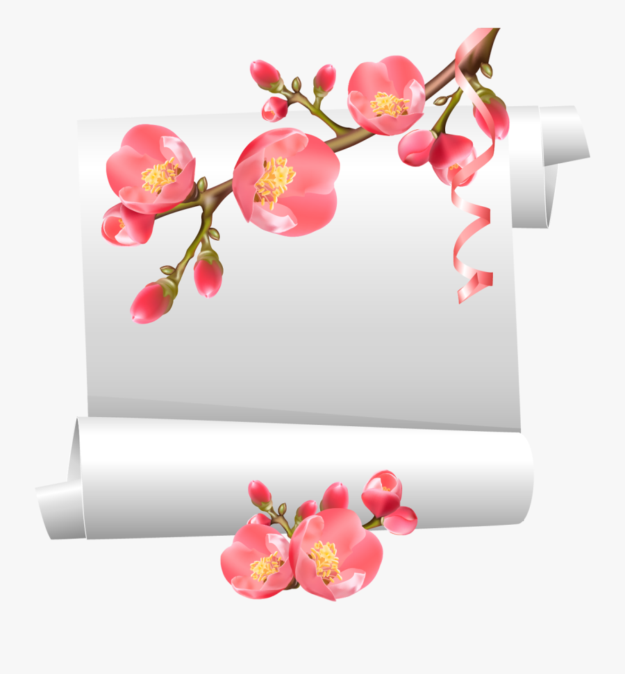 Christine Staniforth ♛༻ Flower Frame, Papo, Beautiful - Flowering Quince, Transparent Clipart