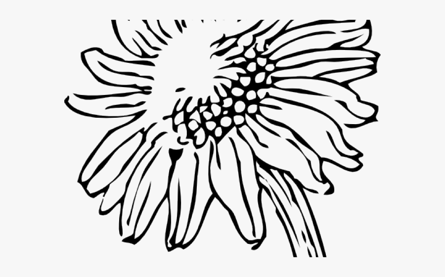 Daisy Clipart Daisey - Sunflower Clipart Black And White Png, Transparent Clipart