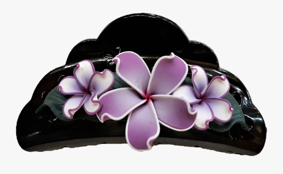 Transparent Plumeria Flower Png, Transparent Clipart