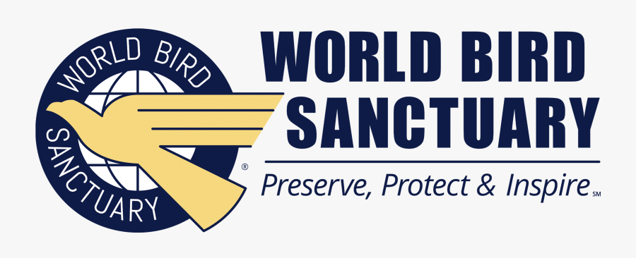 Parallel, Transparent Clipart