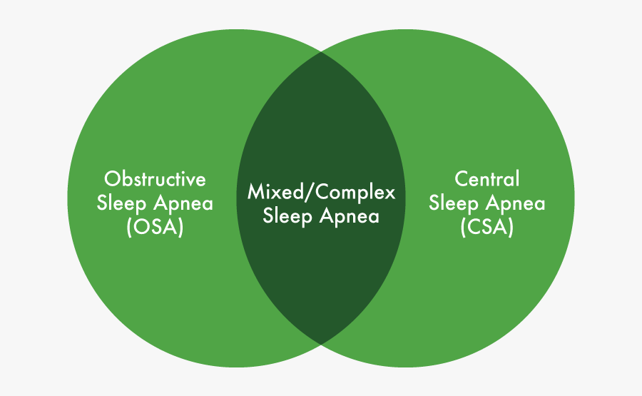 Circle, Transparent Clipart
