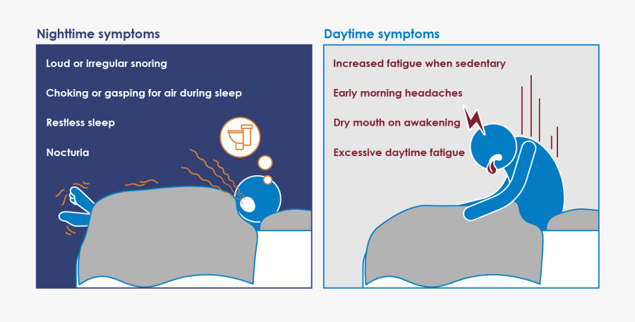 Obstructive Sleep Apnea Day And Nighttime Risk Factors, Transparent Clipart