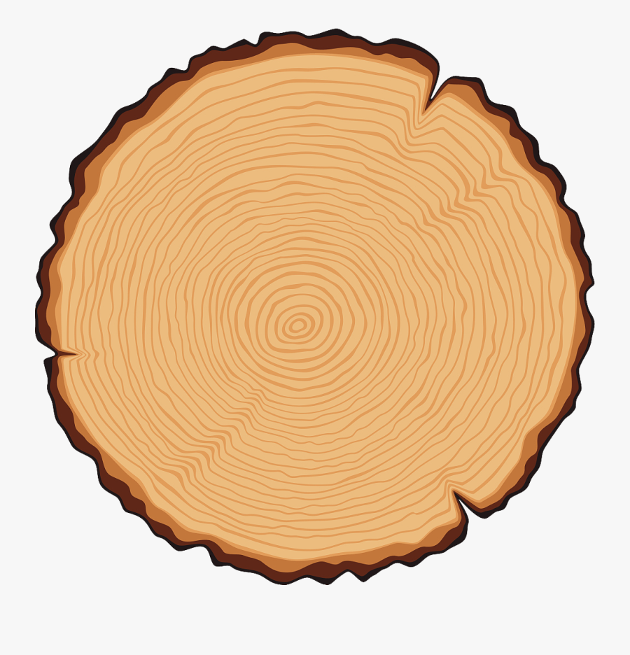 Carpentry, Art And Madness - Tree Stump Clipart Png, Transparent Clipart