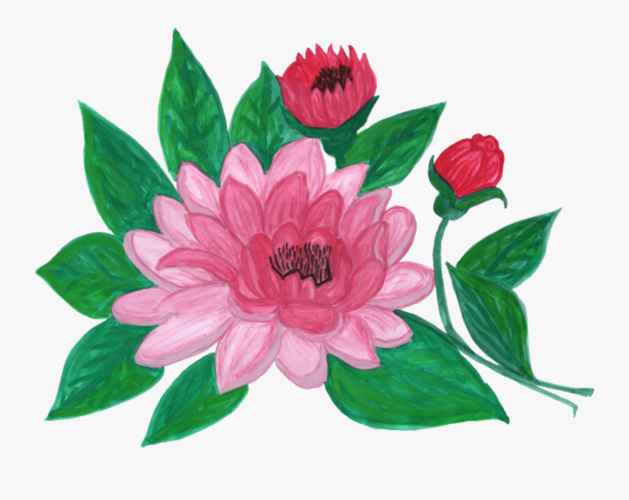 #flower #flower #flor #flores #sheet #treeleaf #hoja - Water Lily, Transparent Clipart