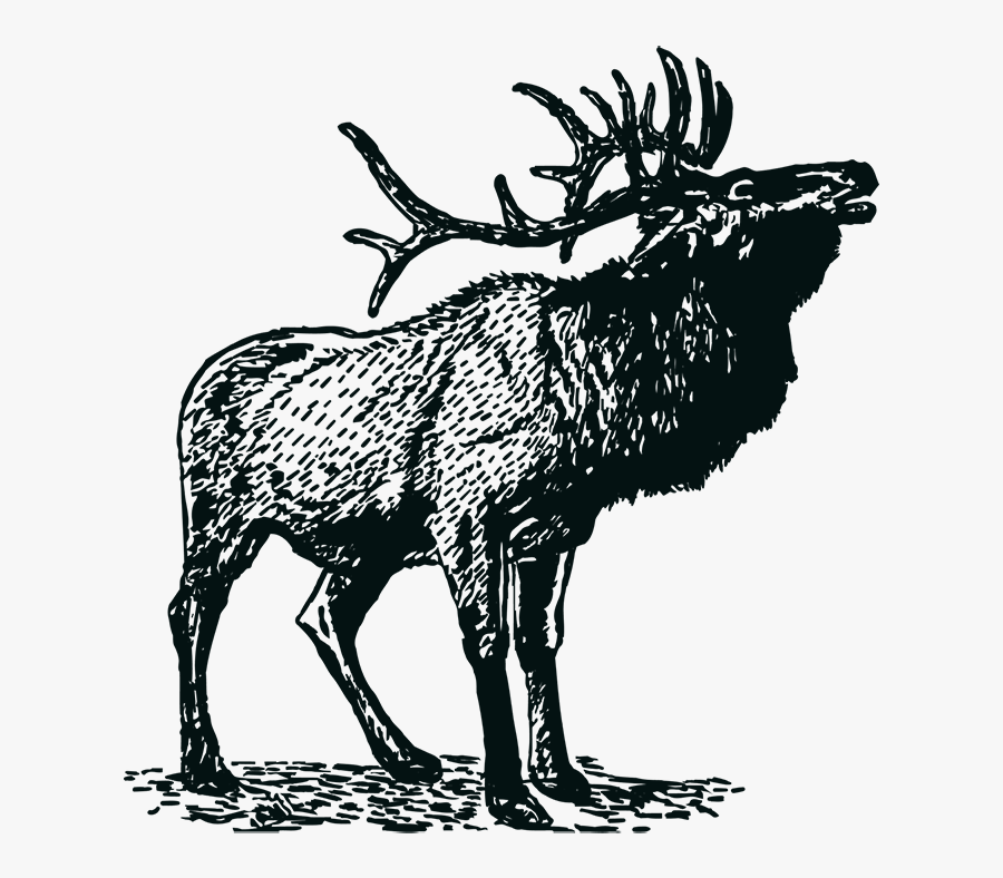 Transparent Where The Wild Things Are Png - Elkaholic T Shirt, Transparent Clipart