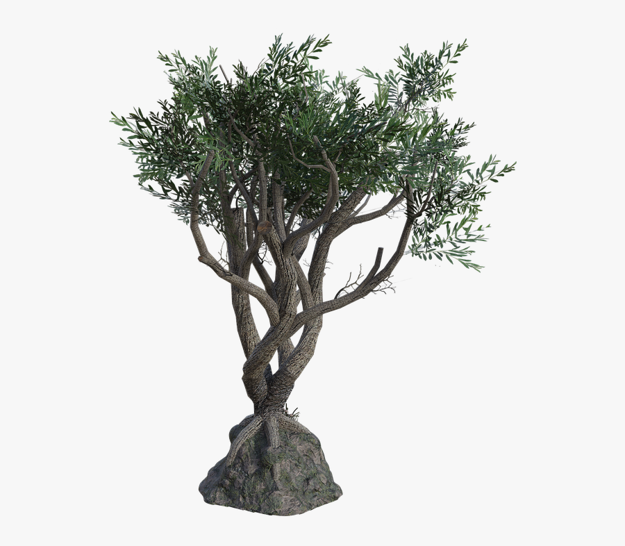 Transparent Sanalika Png - Twisted Tree Png, Transparent Clipart