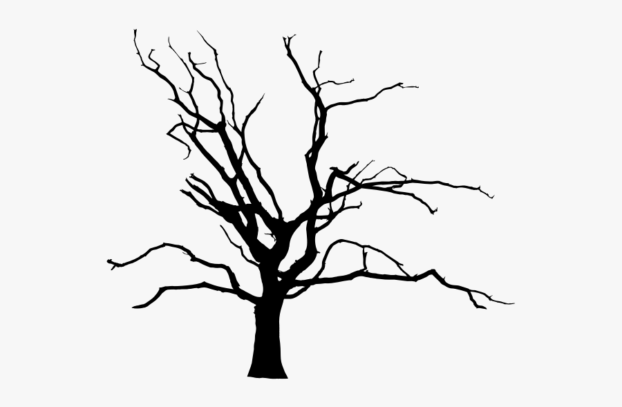Naked Tree - Transparent Background Tree Climate Change Png, Transparent Clipart