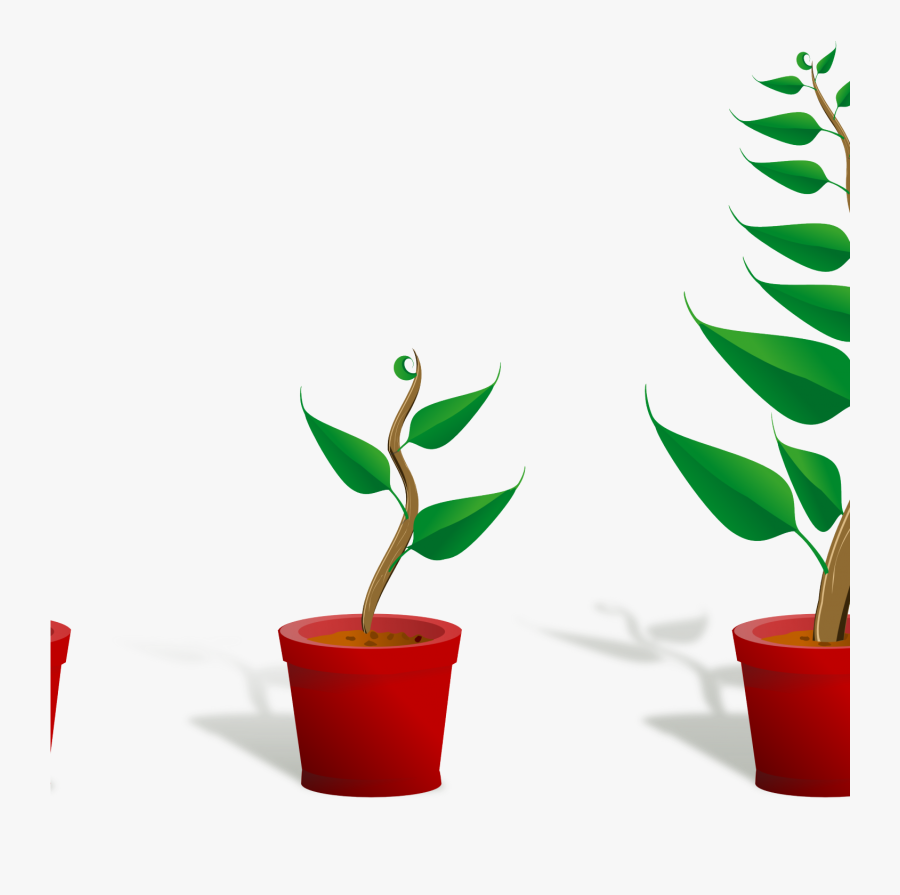 Flower Plant Clipart Plant 2 Growing 4444pxpng, Cute - Getting To Know Plants, Transparent Clipart