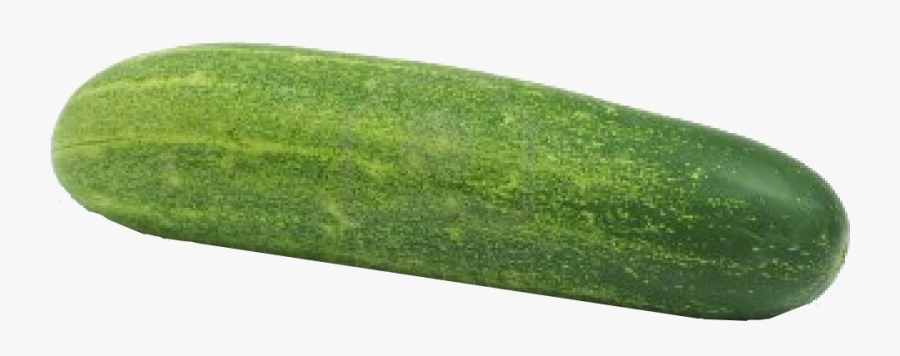Gourd, And Melon Family,winter - Cucumber Png, Transparent Clipart