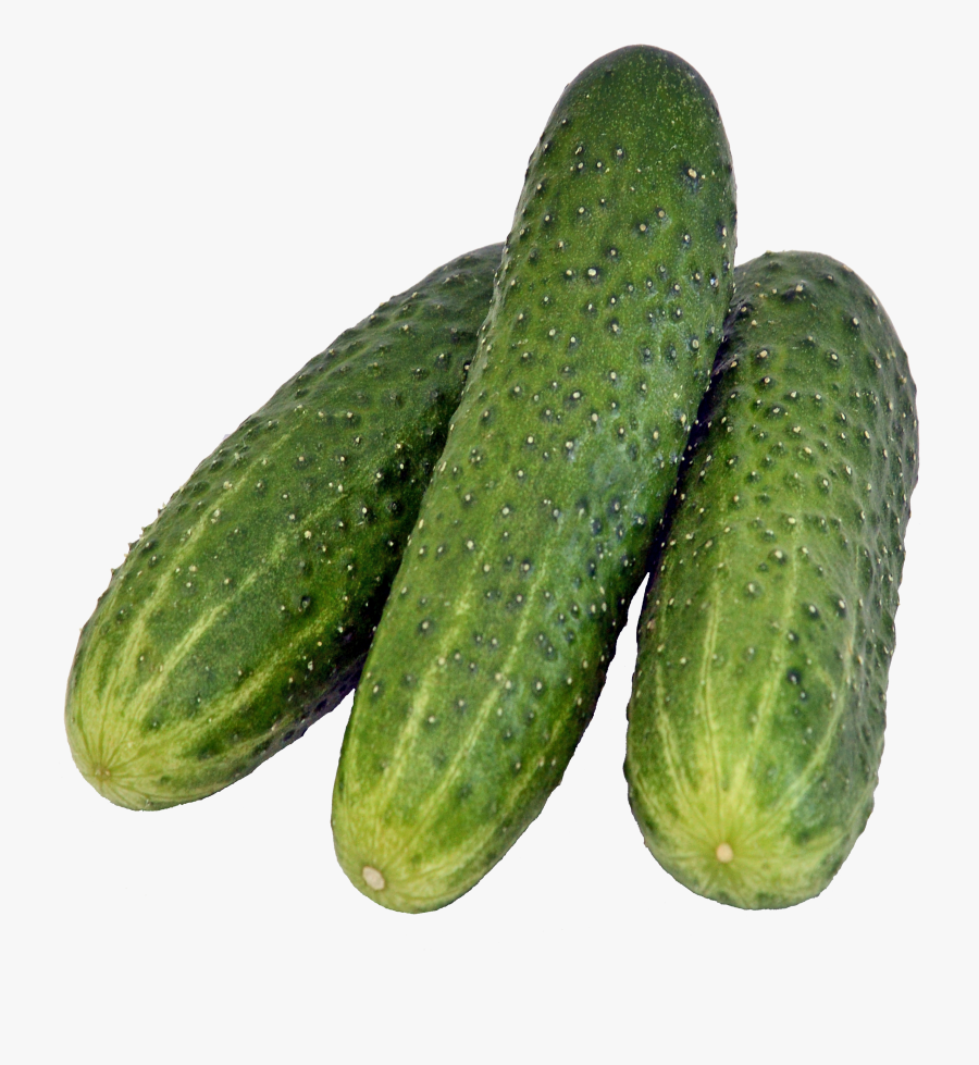 Cucumber Png - Gherkins Png, Transparent Clipart