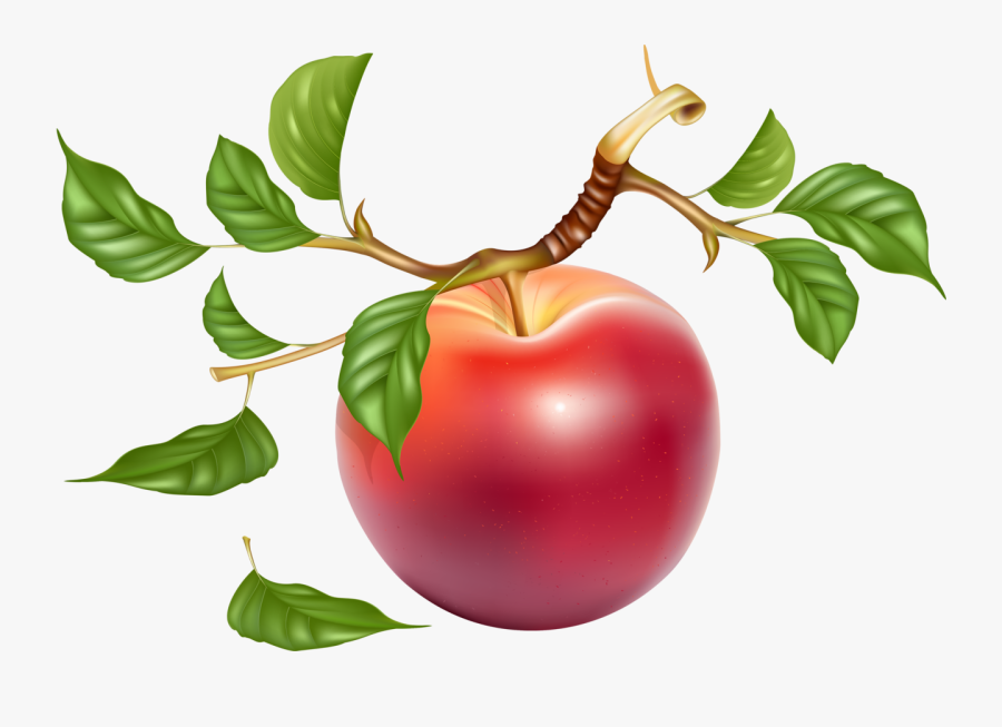 Valentine Heart Symbol, Transparent Clipart