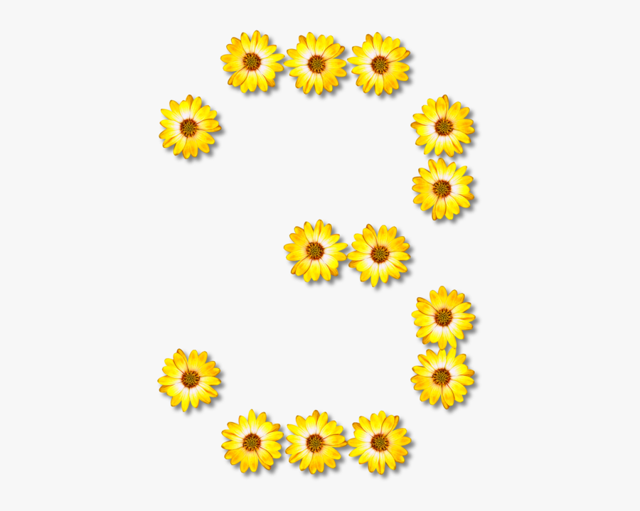 Sunflower Seed,chrysanths,flower - Number Sunflowers Design, Transparent Clipart