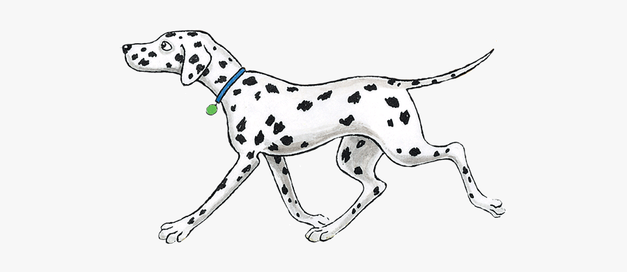 Dalmatian Clipart Black And White - Hairy Maclary Bottomley Potts, Transparent Clipart