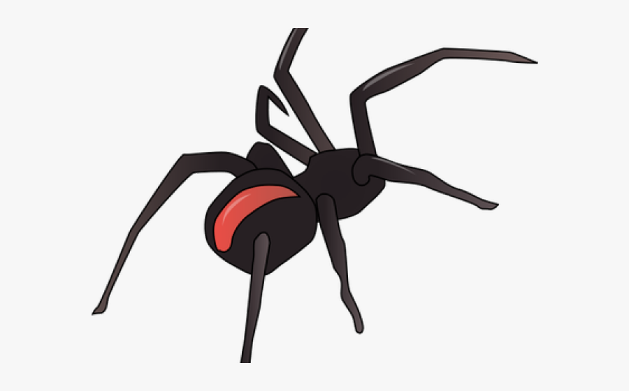 Drawn Arachnid Hairy Spider - Spider Silhouette Png, Transparent Clipart