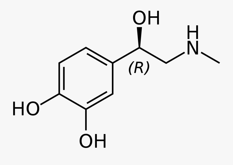 Adipose Tissue Chemical Structure, Transparent Clipart