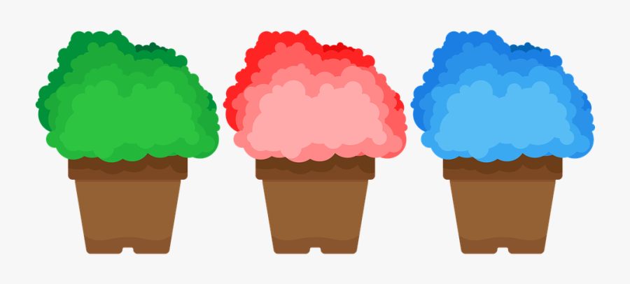 Potted Plant, Flowerpot, Skandia Memory, Moss, Abstract - Illustration, Transparent Clipart