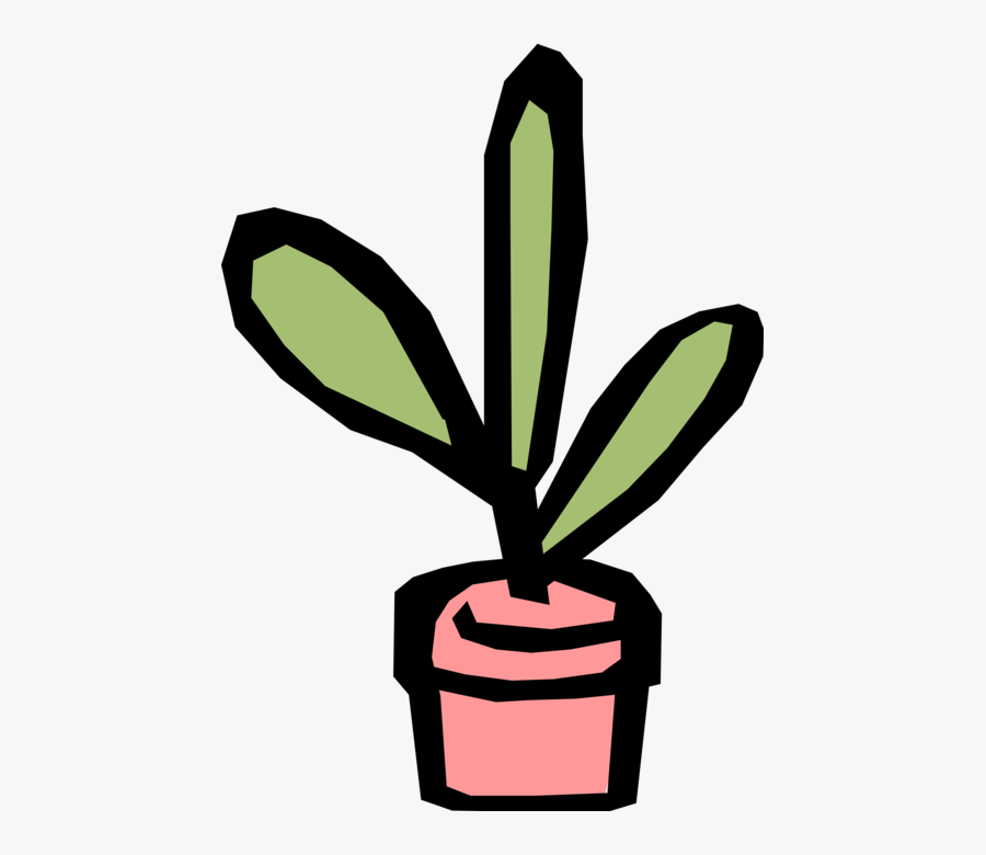 Vector Illustration Of Indoor Potted Botanical Plant, Transparent Clipart