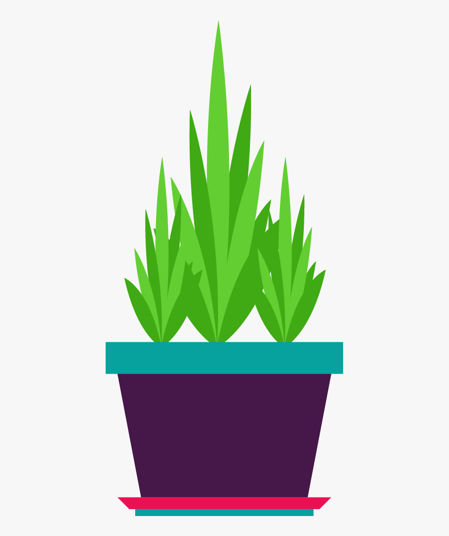 Flowerpot, Transparent Clipart