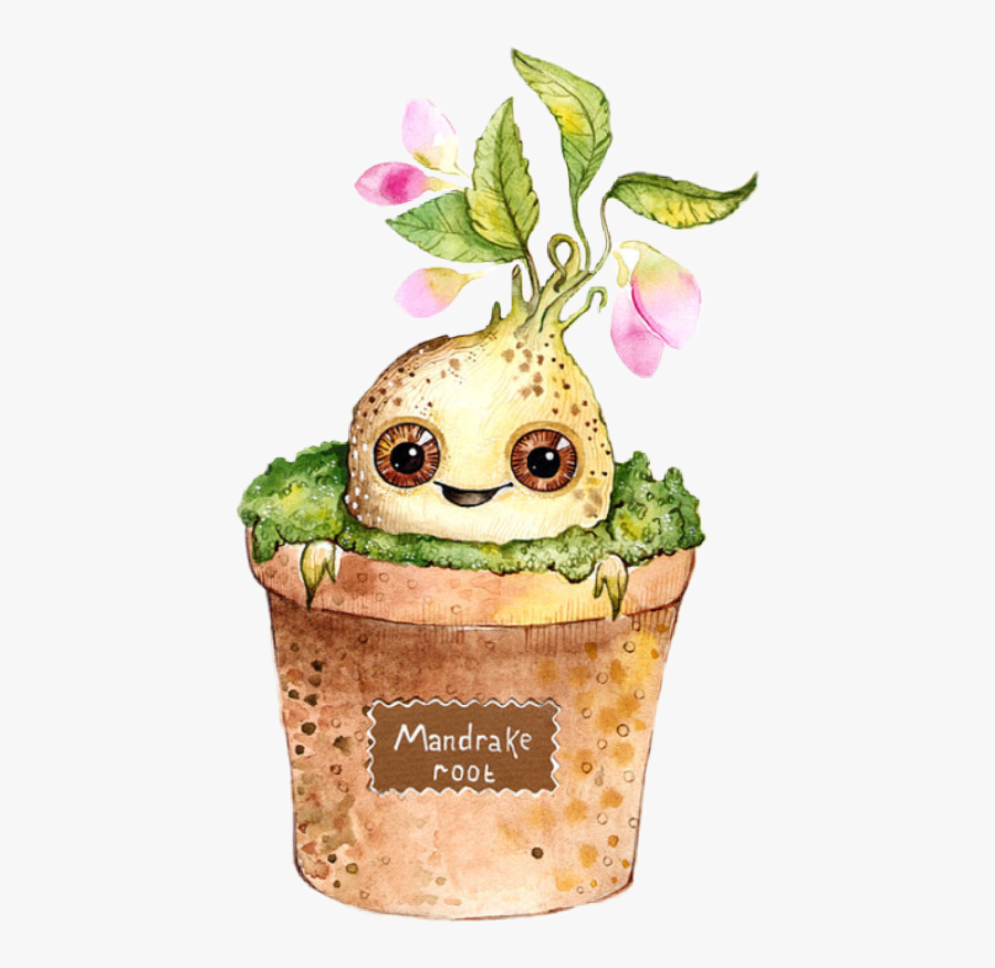 Mandrake Nevillelongbottom Neville Sprout Harry Potter - Harry Potter Cute Mandrake, Transparent Clipart