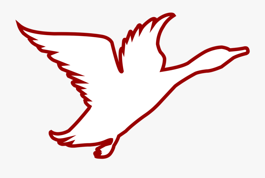 Picture, Transparent Clipart