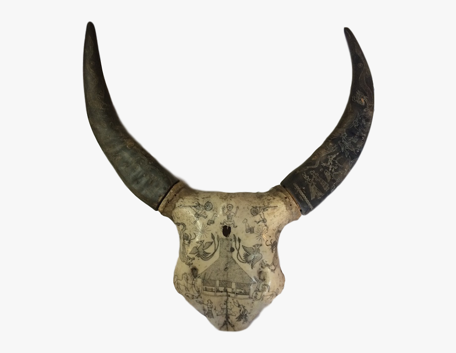Transparent Water Buffalo Png - Horn, Transparent Clipart