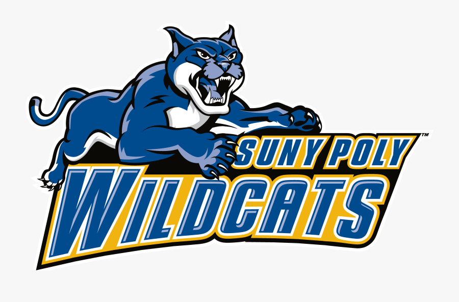 Suny-polytechnic Institute Wildcats - Suny Polytechnic Institute Wildcats, Transparent Clipart