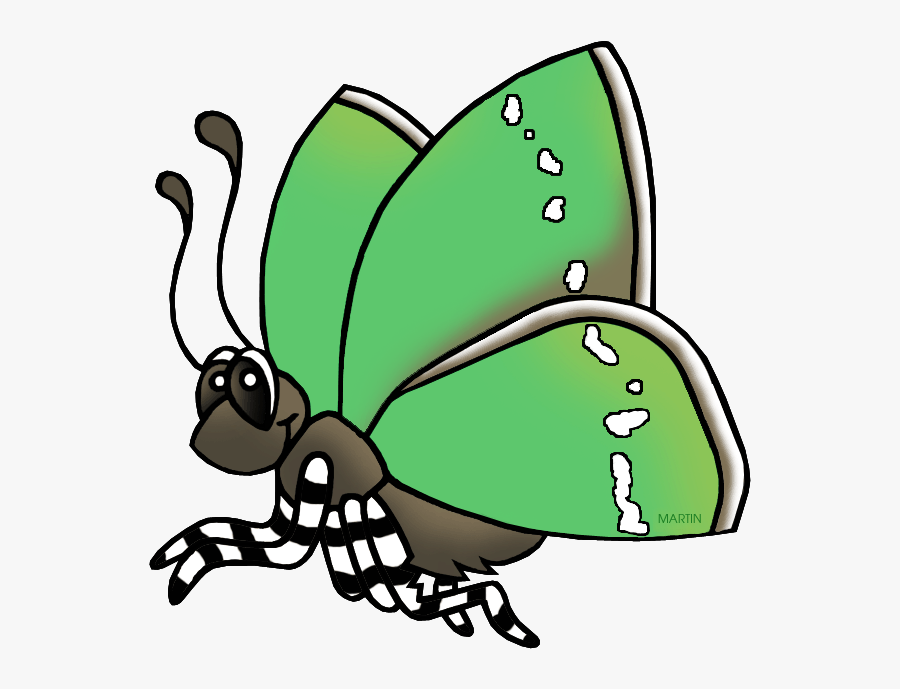 State Insect Of Wyoming - Wyoming State Insect, Transparent Clipart