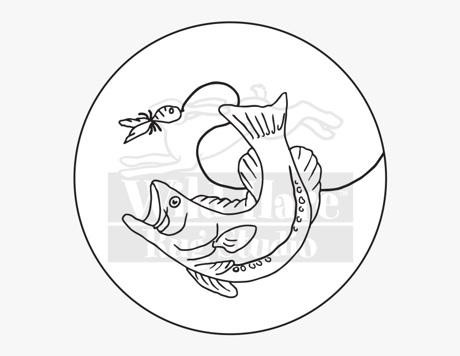 Drawn Fishing Creepy - Coeo She Keeps It Good, Transparent Clipart