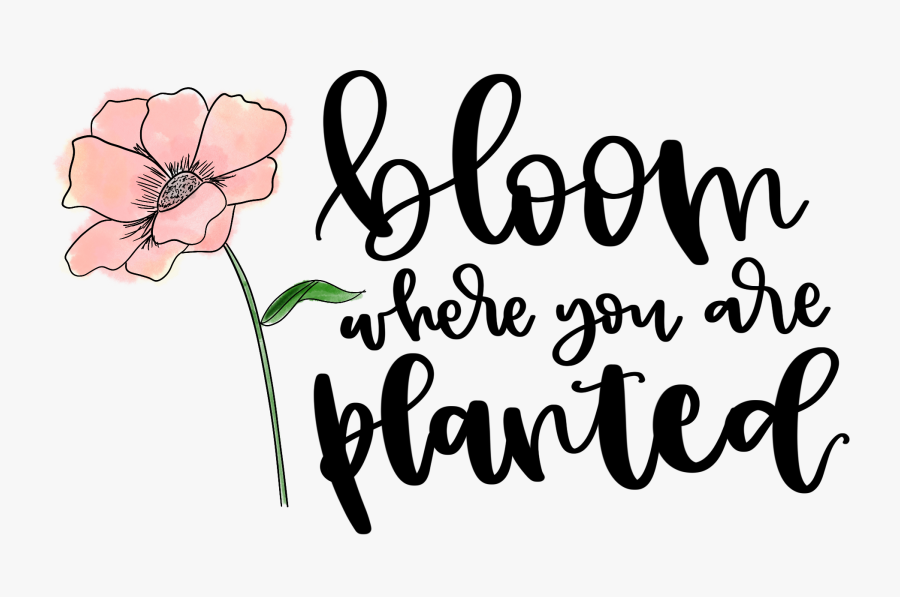 Clip Art Hand Digitals A Paperella - Bloom Where You Are Planted Printable, Transparent Clipart