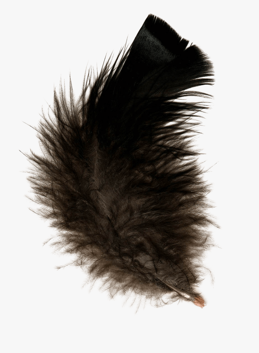 Feather Black - Transparent Background Fur Png, Transparent Clipart