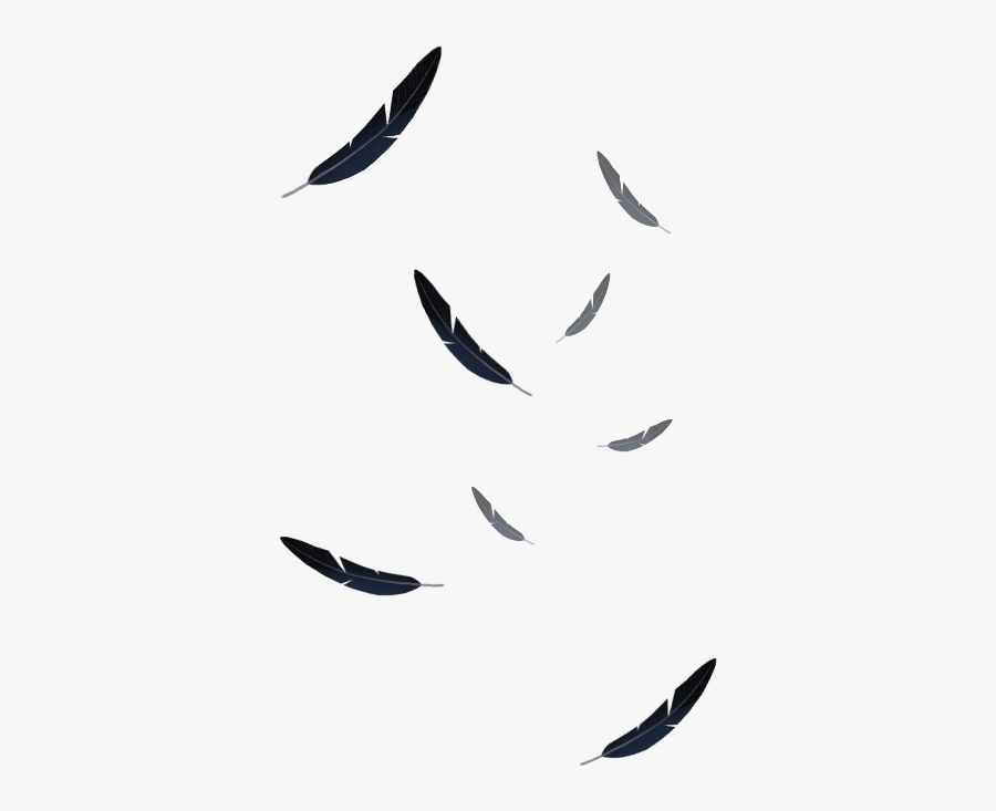 #ftestickers #feather #feathers #falling, Transparent Clipart