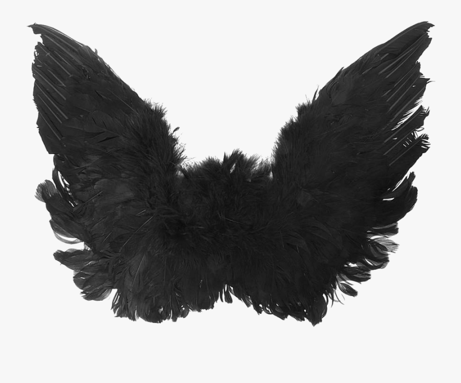 Accessory,fashion Accessory,fur,ear - Black Angel Wings Png, Transparent Clipart