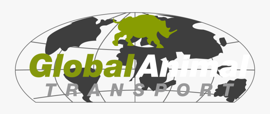 Graphic Design, Transparent Clipart