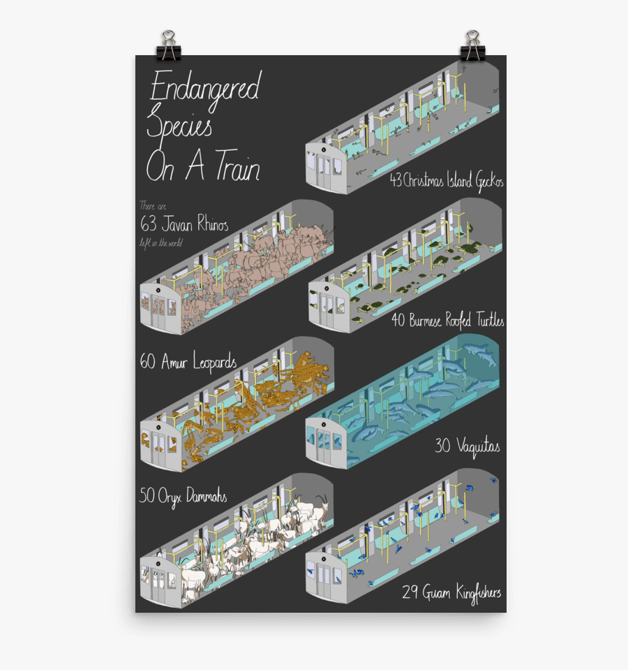 Paper, Transparent Clipart