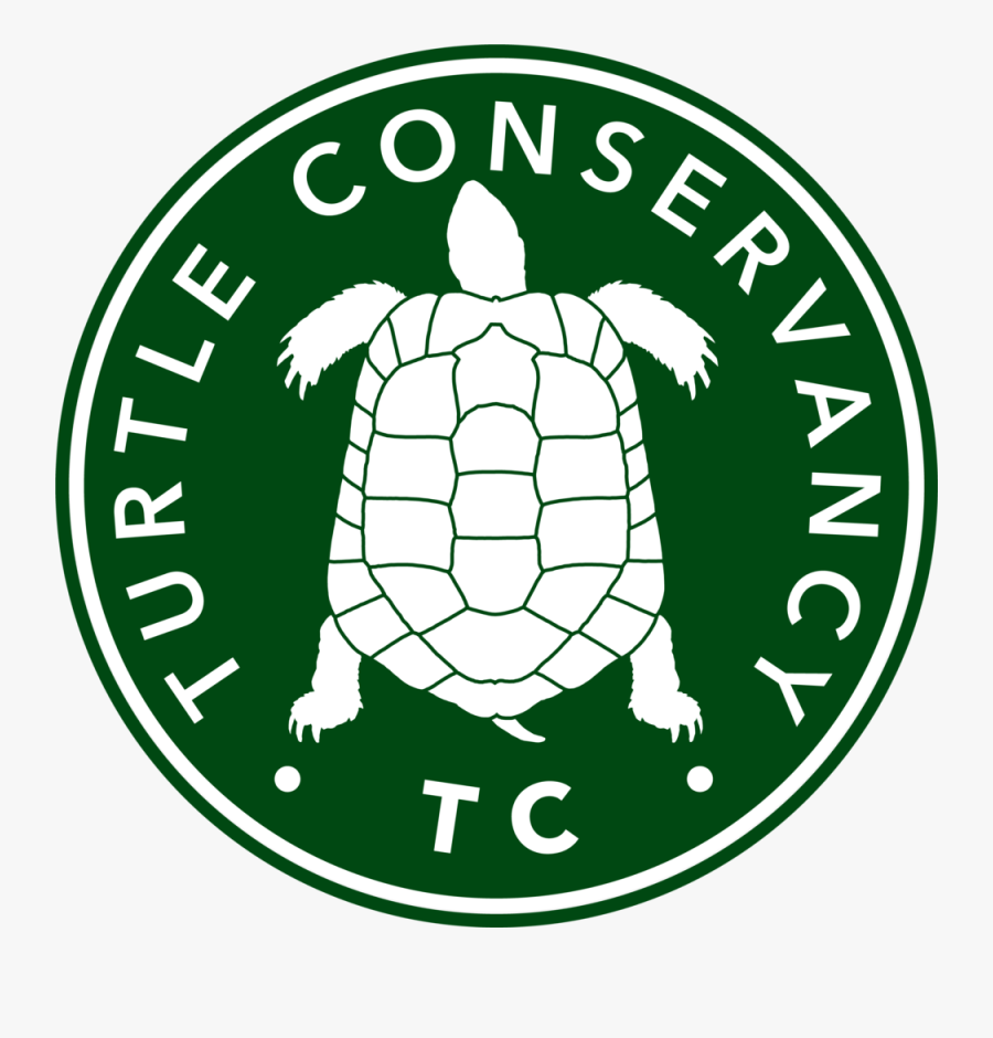 Turtle Conservancy, Transparent Clipart