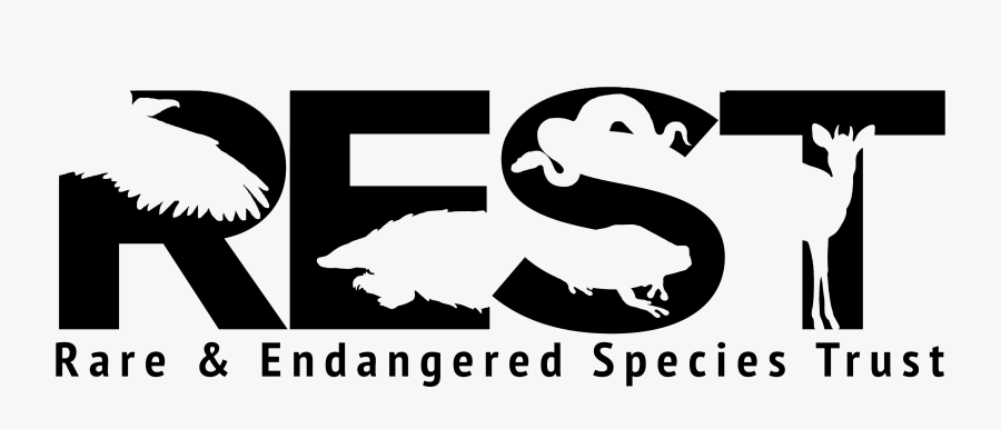 Rest Namibia, Transparent Clipart