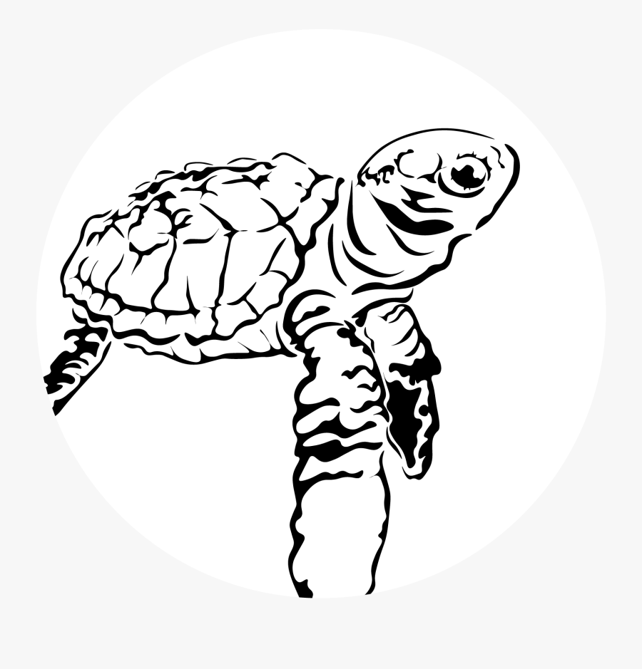 Wildlife Conservation, Home, Wild Response - Illustration, Transparent Clipart