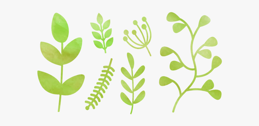 Watercolor Painting, Transparent Clipart